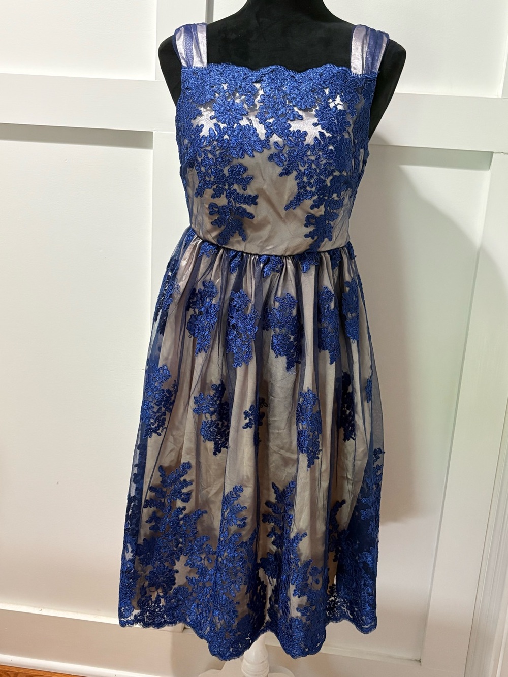 NWT Beautiful Overlay BLUE LACE LIZA LUXE DRESS M